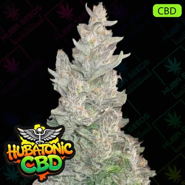 Hubatonic CBD - HUBA Seed Bank