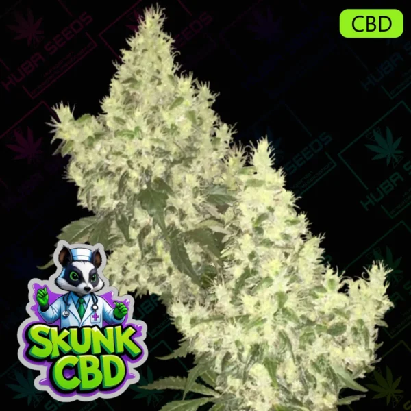 Skunk CBD - HUBA Seed Bank
