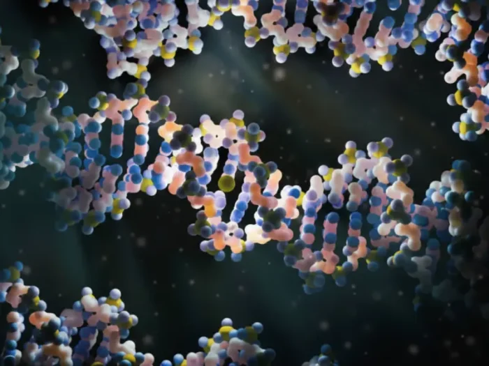 blog post image genetics 1